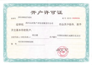 四川山河資產(chǎn)評(píng)估有限責(zé)任公司 專(zhuān)業(yè)評(píng)估服務(wù)，守護(hù)資產(chǎn)價(jià)值